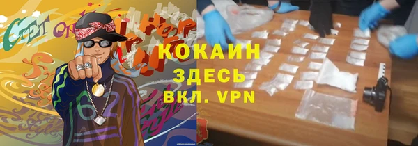 индика Ладушкин