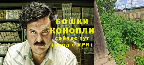 тгк Кулебаки