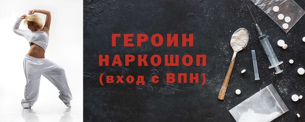 индика Ладушкин