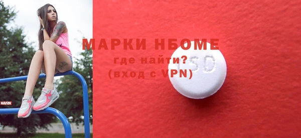 индика Ладушкин