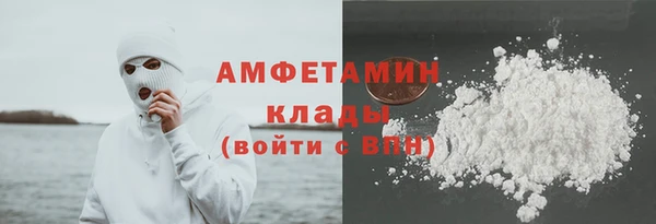 индика Ладушкин